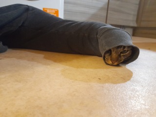What perfectly ordinary places have you found your cat?