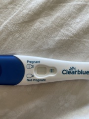 Potentially pregnant or line eyes