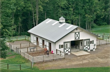 Managing veterinary conditions in livery