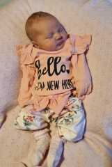 Does anyone know what this is?