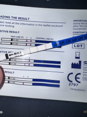 Is my ovulation test positive