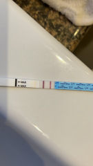 Ovulation 🤍 ttc after miscarriage