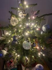 Small Christmas tree for someone who doesn't normally have a tree?