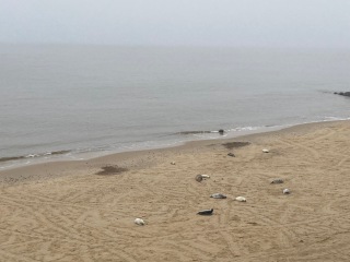 Come and tell us your dull and unexciting news 32: Calmly through the day