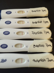 IVF/ICSI/FET December 2024