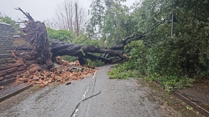 The Nigel Slater Christmas Chronicles Readalong 2024 Part 2