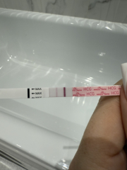 IVF/ICSI/FET December 2024