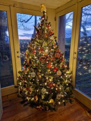 Show us your Christmas trees