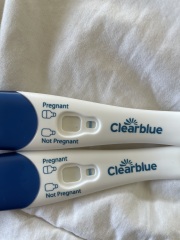 Potentially pregnant or line eyes