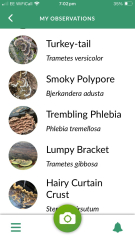 The Bluestocking - the one with the Christmas stocking