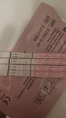 Thoughts please... easy @ home major confusion!