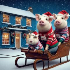 The Bluestocking - the one with the Christmas stocking