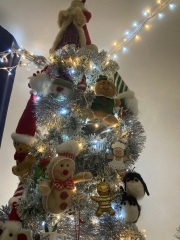 Show us your Christmas trees