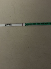 What do these mean??