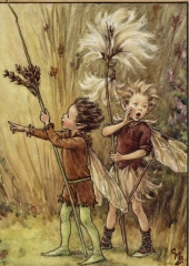 4 year old son has asked for fairy wings and wand for Christmas