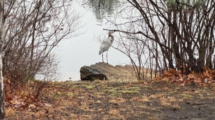 Come and tell us your dull and unexciting news 32: Calmly through the day