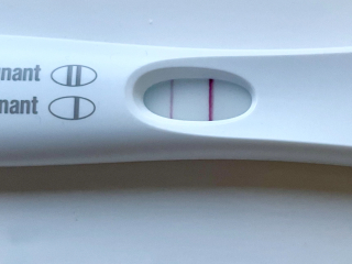 Pregnancy test