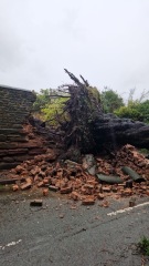 The Nigel Slater Christmas Chronicles Readalong 2024 Part 2