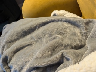 Tinsel, Glitter and Baubles - the Excellent Cats prepare to knock Everything off your Christmas Tree