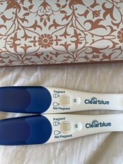 Potentially pregnant or line eyes