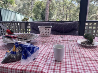 Come and tell us your dull and unexciting news 32: Calmly through the day