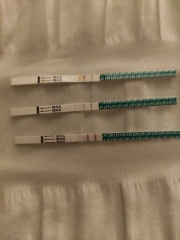 Positive opks throughout period
