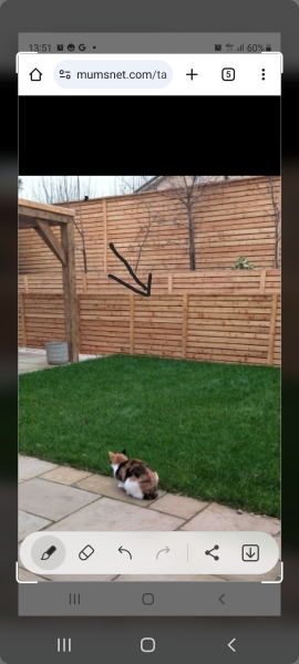 Getting rid of grass for veg beds a bad idea?