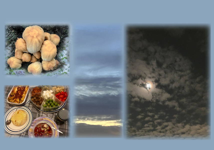 The Nigel Slater Christmas Chronicles Readalong 2024 Part 3