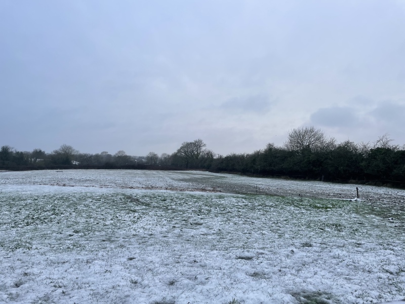 Come and tell us your dull and unexciting news 32: Calmly through the day