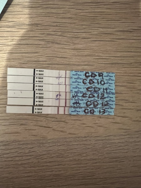 Anyone about to go into an ovulation week?