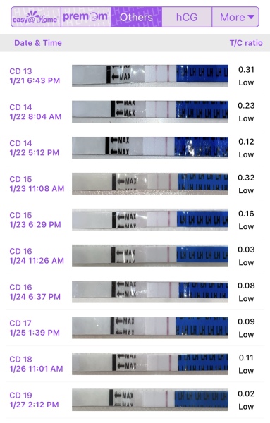February TTC Support Group