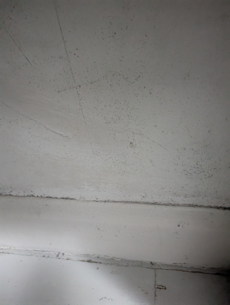Condensation mould?