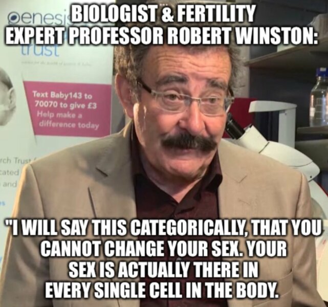 To feel everyone is anti trans?