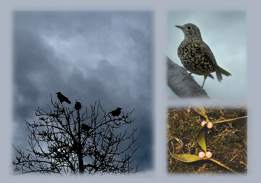 The Nigel Slater Christmas Chronicles Readalong 2024 Part 3