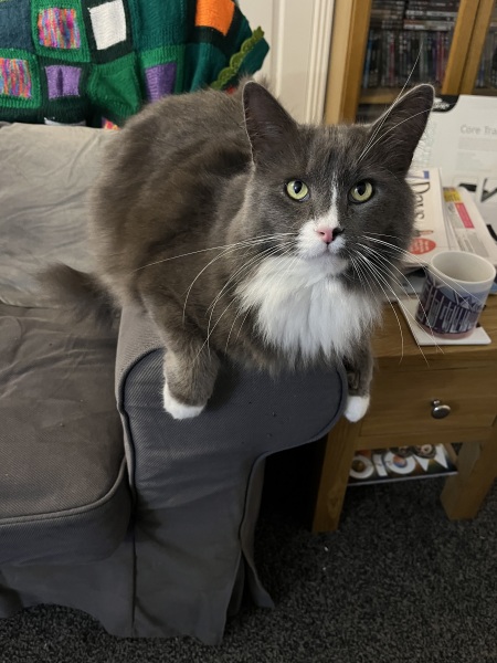 Thread 17: Starmer: Treading softly.