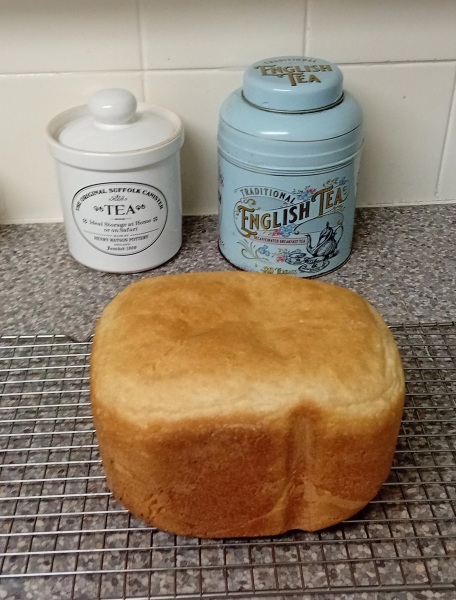 Ring Out, Wild Bells! As 2025 approaches, the Excellent Cats raise their game with a discussion on Tennyson's poetry