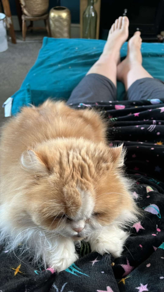 Thread 17: Starmer: Treading softly.