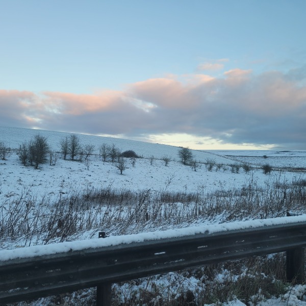 Mounjuro August starters - thread 10 !!!!