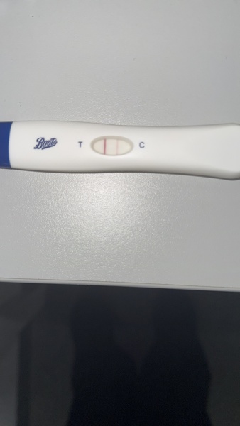 Dye stealer- nothing on scan.