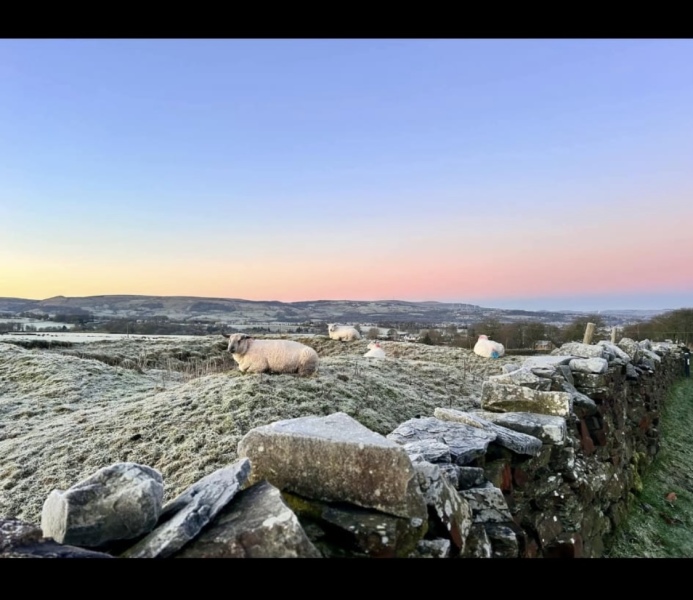 The Nigel Slater Christmas Chronicles Readalong 2024 Part 3