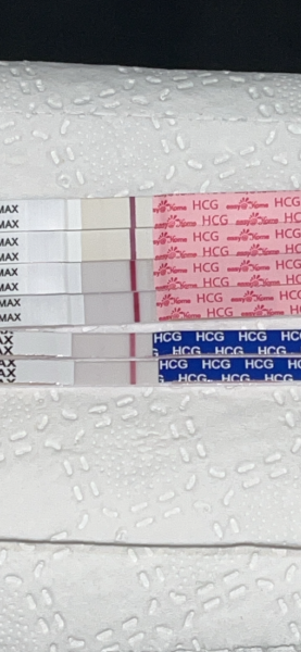 Please help I’m terrified!