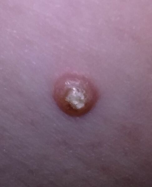 Anyone know what this is? (Picture included)