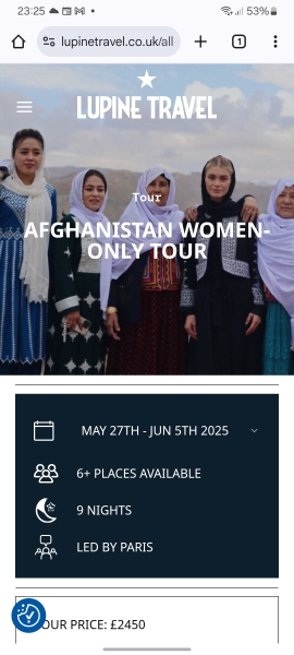 This article explains why I can’t be arsed about  using  wrong pronouns