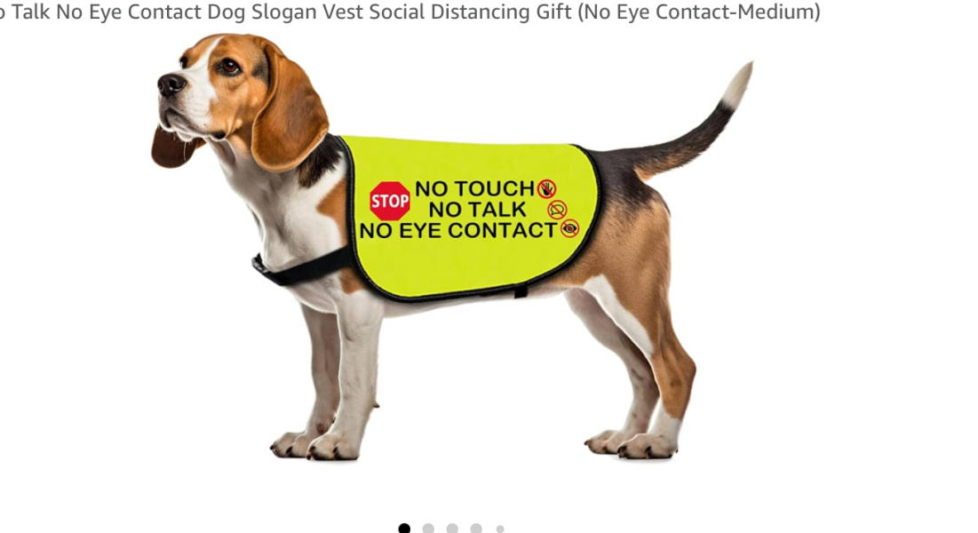 Adolescent Dog Survival Thread - get teenage licks right through the night!
