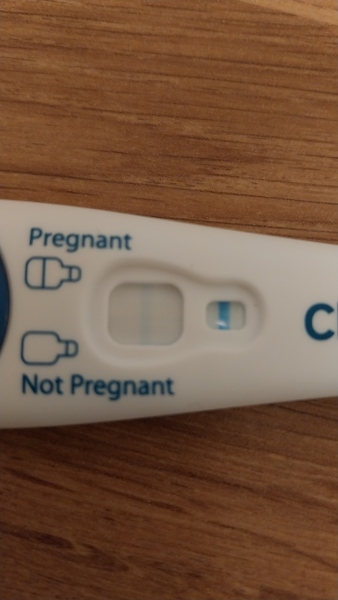 TTC February 2024 ✨