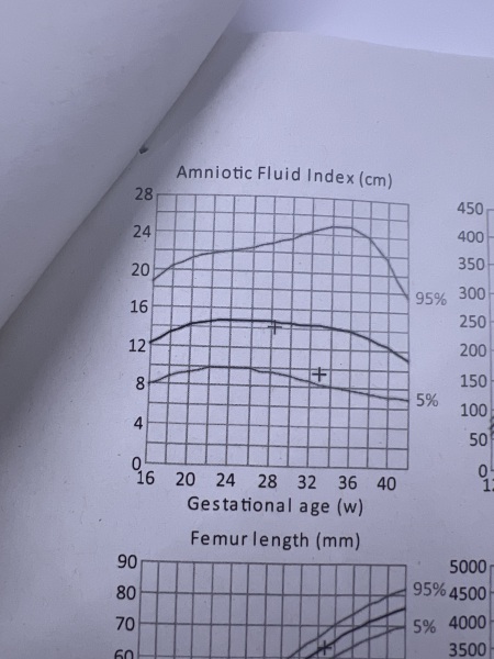 Amniotic fluid Reduced and feeling ‘wet’ sometimes
