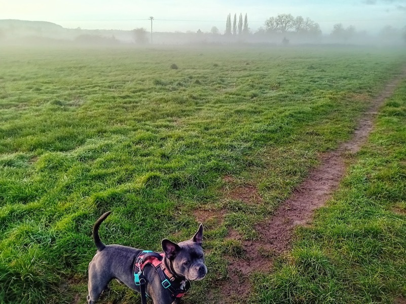 The Continuing Support Thread for Anyone Trying to Lead an Alcohol-Free Life Winter 2024