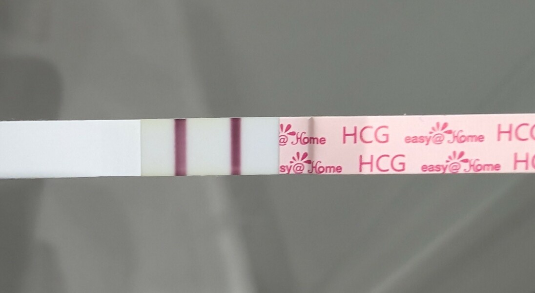 Easy@home - line takes ages to go dark?