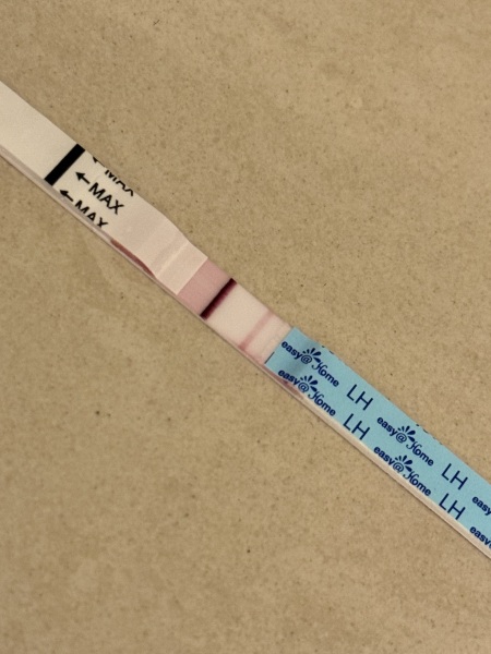 12 days late, BFN, positive opk