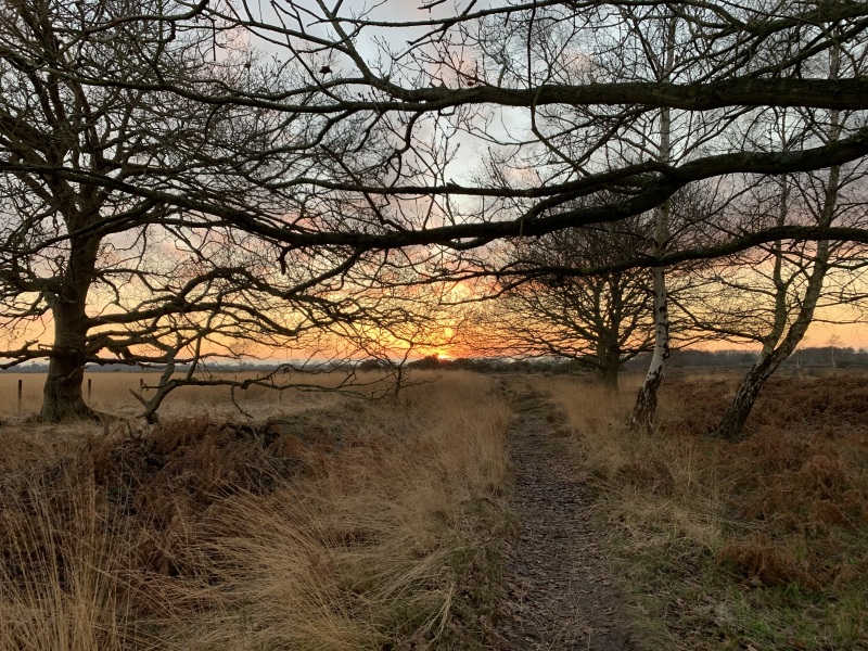The Nigel Slater Christmas Chronicles Readalong 2024 Part 3